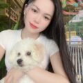 Sam Sam - Ảnh 3